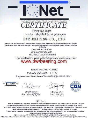 China DWR Bearing  Co., Ltd certificaten